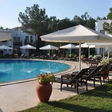 فندق Princess Artemisia - Interni 3*