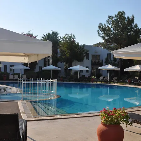 Princess Artemisia - Interni