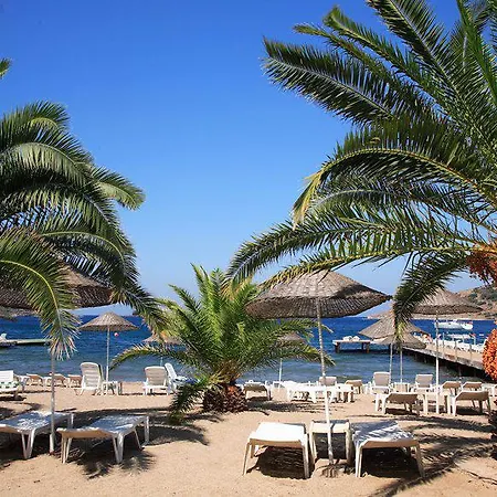 فندق Princess Artemisia - Interni 3*