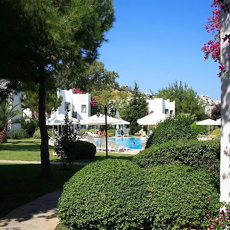 Princess Artemisia - Interni 3* يالِكافاك