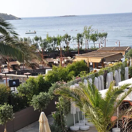 Princess Artemisia - Interni יאליקאבאק