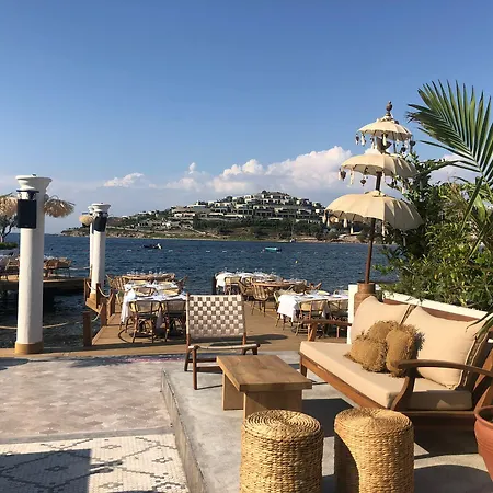 Princess Artemisia - Interni Hotel 3*