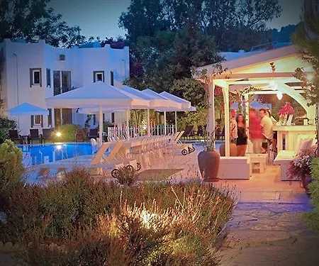 Princess Artemisia - Interni Hotel
