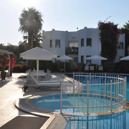 Princess Artemisia - Interni מלון 3*