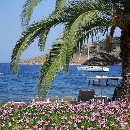 Princess Artemisia - Interni מלון יאליקאבאק