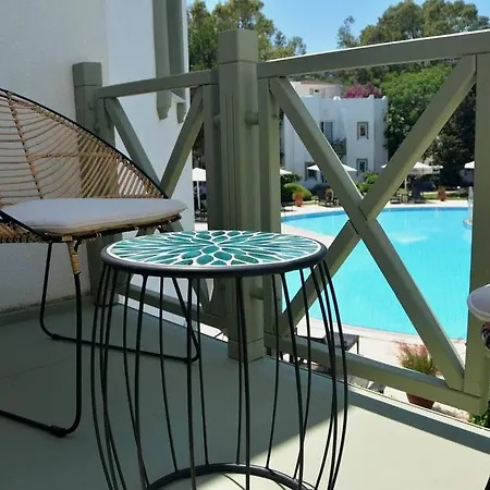 Princess Artemisia - Interni 3*