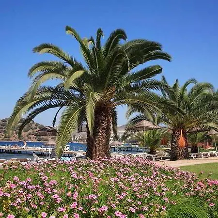 Princess Artemisia - Interni 3* Yalıkavak