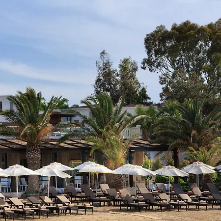 Princess Artemisia - Interni 亚力卡瓦克