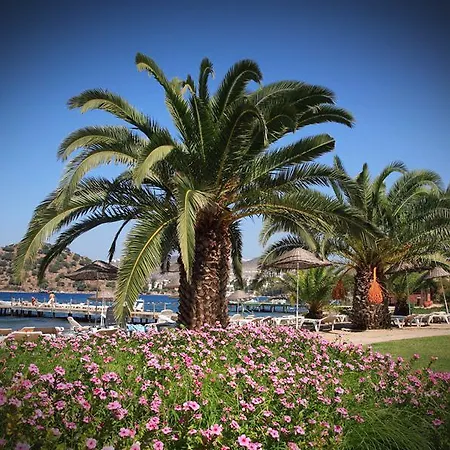 Princess Artemisia - Interni 3*