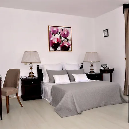 Princess Artemisia - Interni 酒店