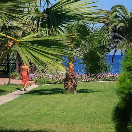 Princess Artemisia - Interni 亚力卡瓦克