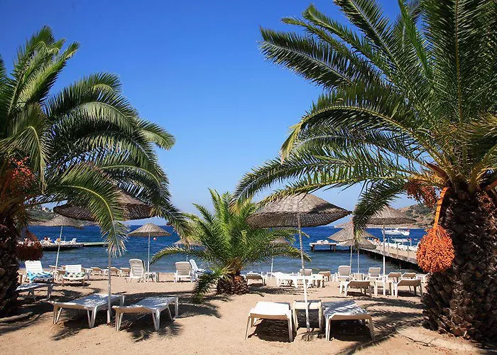 Hotel Princess Artemisia - Interni 3*