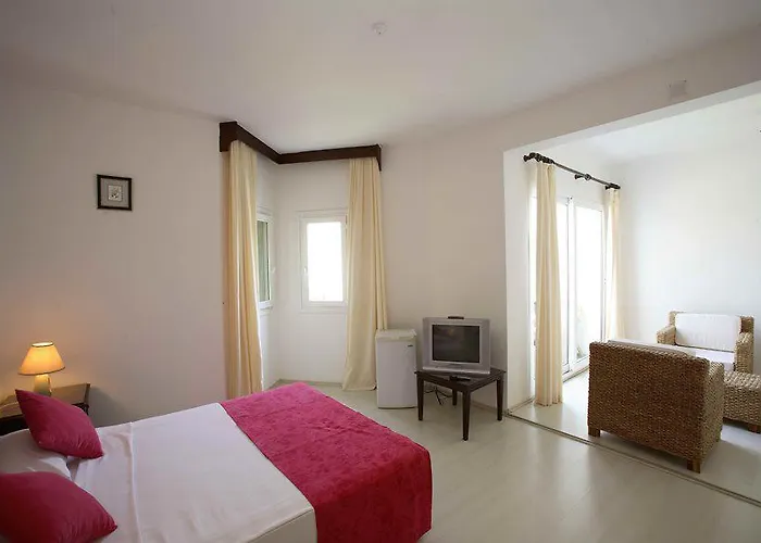 Hotel Princess Artemisia - Interni 3*